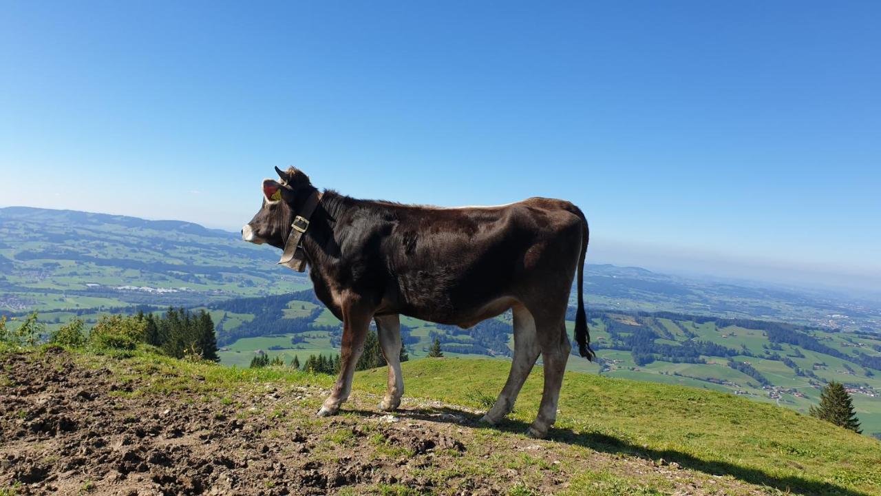 Allgaeu Bergluft Weitnau Εξωτερικό φωτογραφία