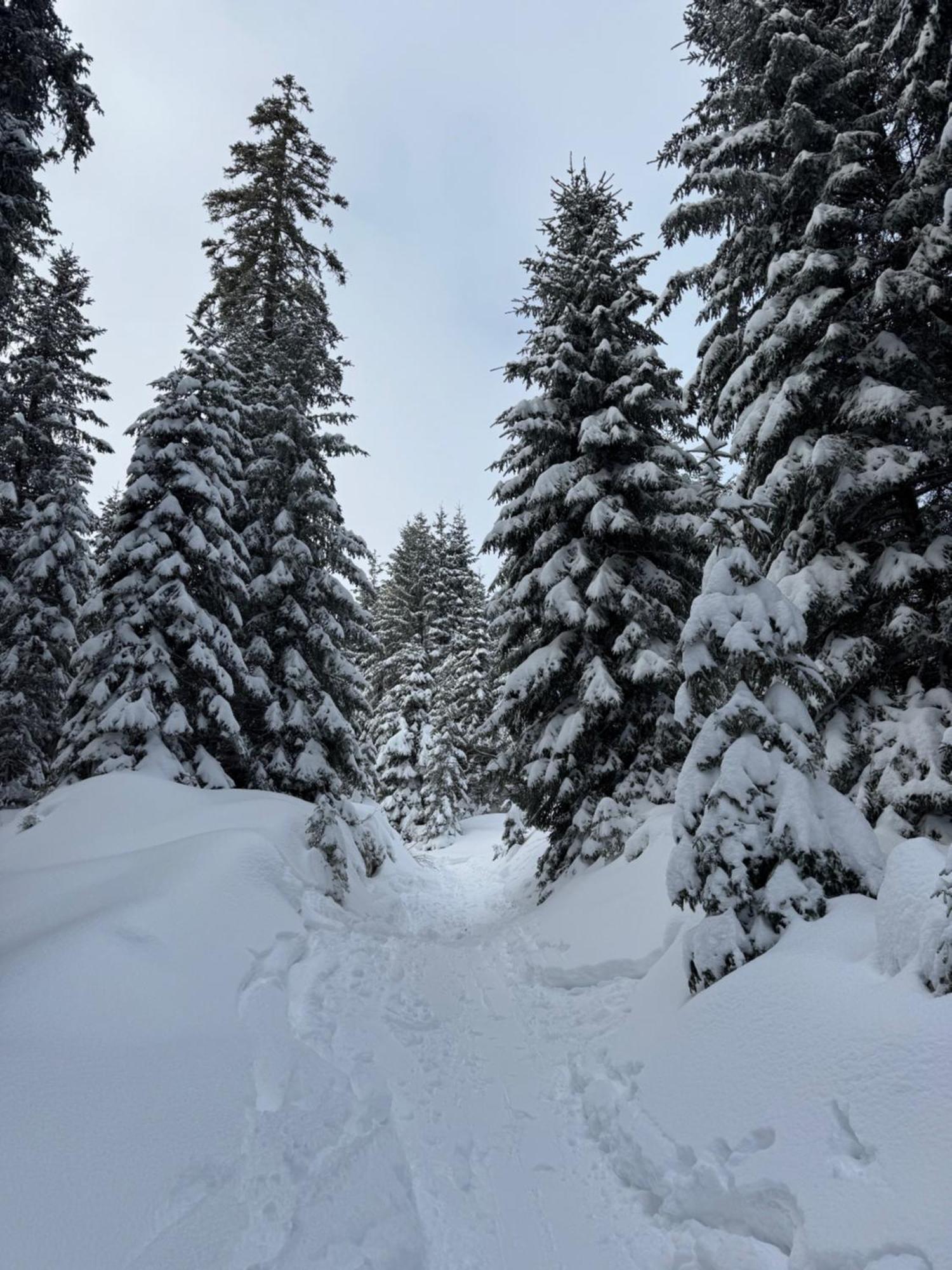 Allgaeu Bergluft Weitnau Εξωτερικό φωτογραφία