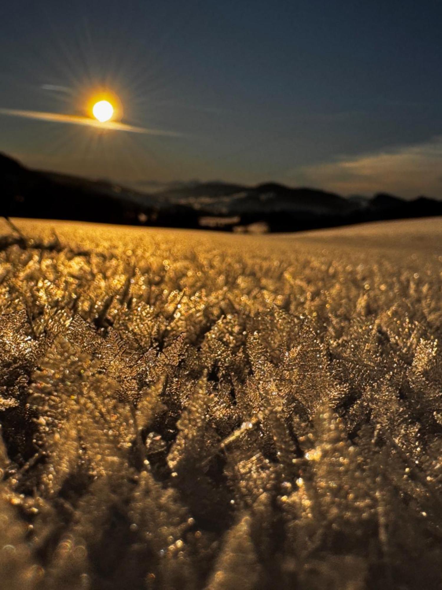 Allgaeu Bergluft Weitnau Εξωτερικό φωτογραφία