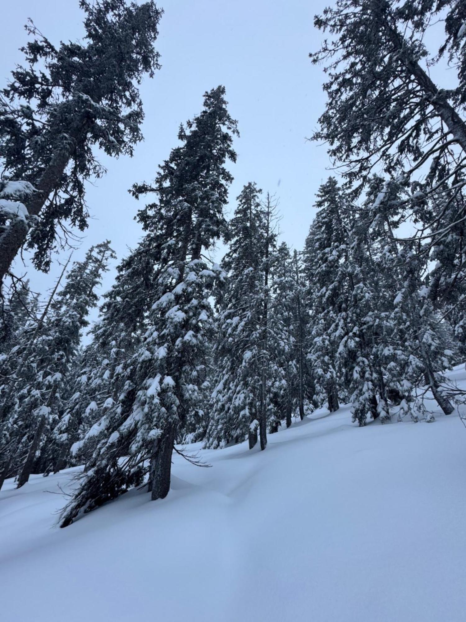 Allgaeu Bergluft Weitnau Εξωτερικό φωτογραφία
