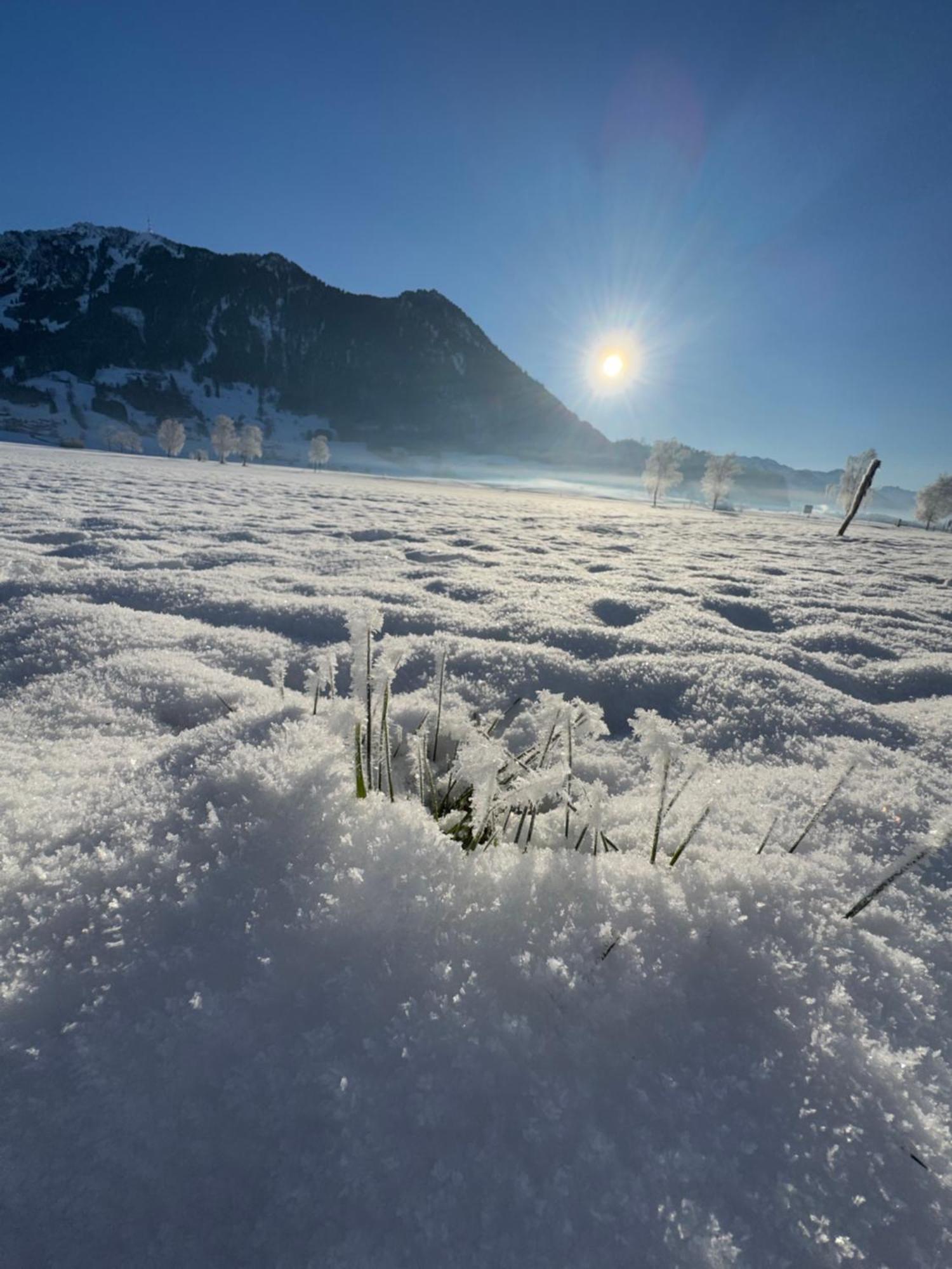 Allgaeu Bergluft Weitnau Εξωτερικό φωτογραφία
