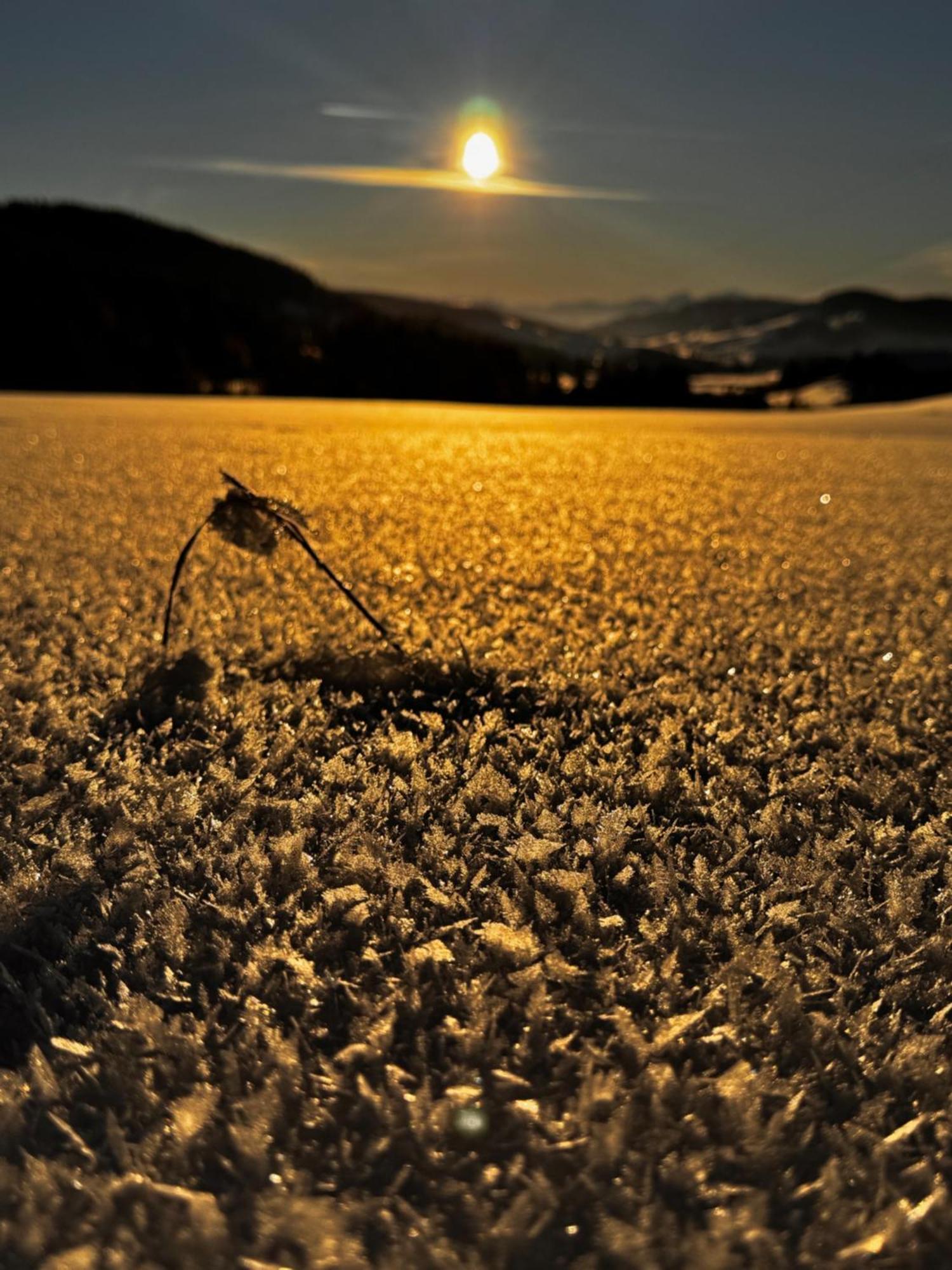 Allgaeu Bergluft Weitnau Εξωτερικό φωτογραφία