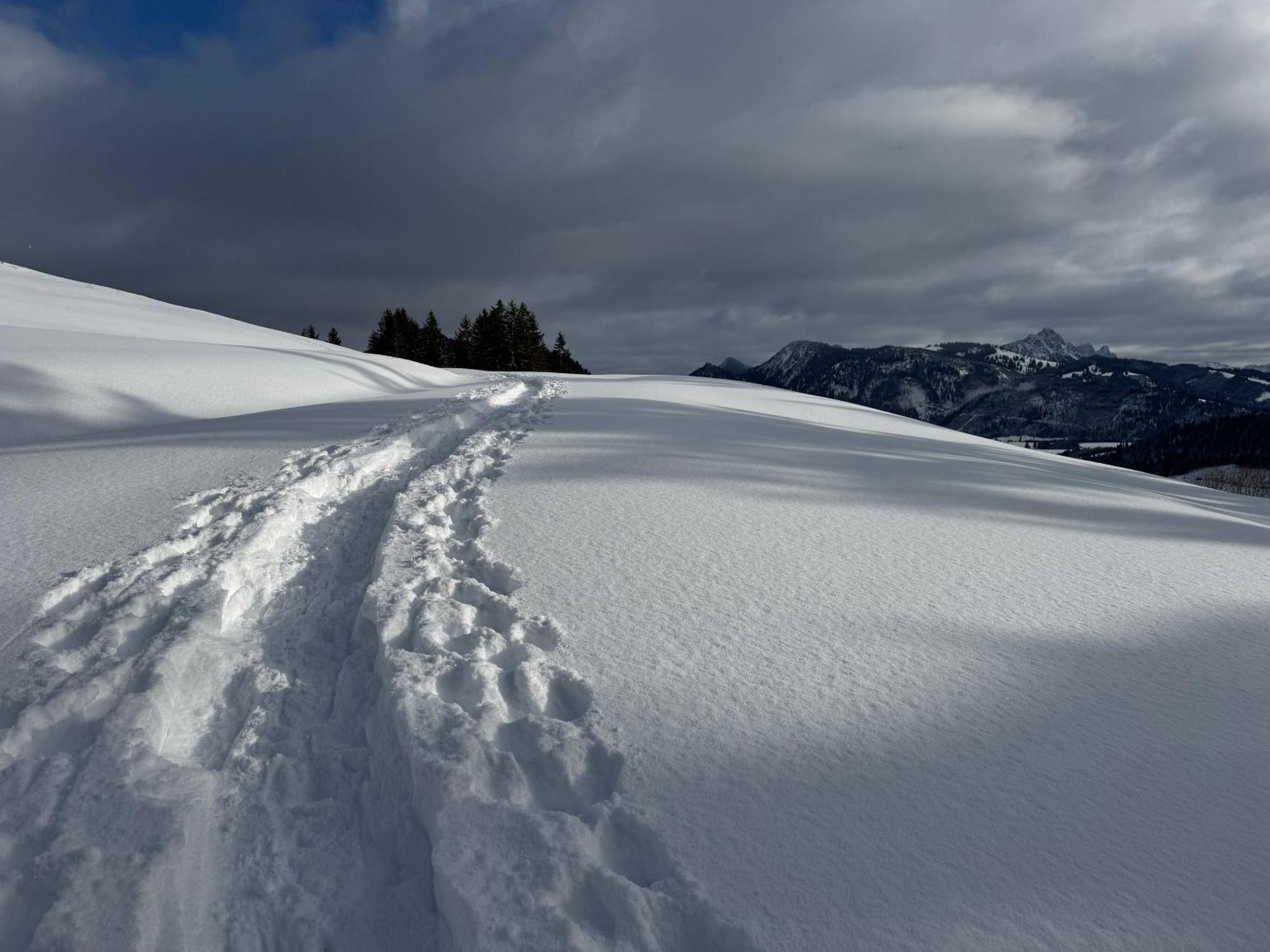 Allgaeu Bergluft Weitnau Εξωτερικό φωτογραφία