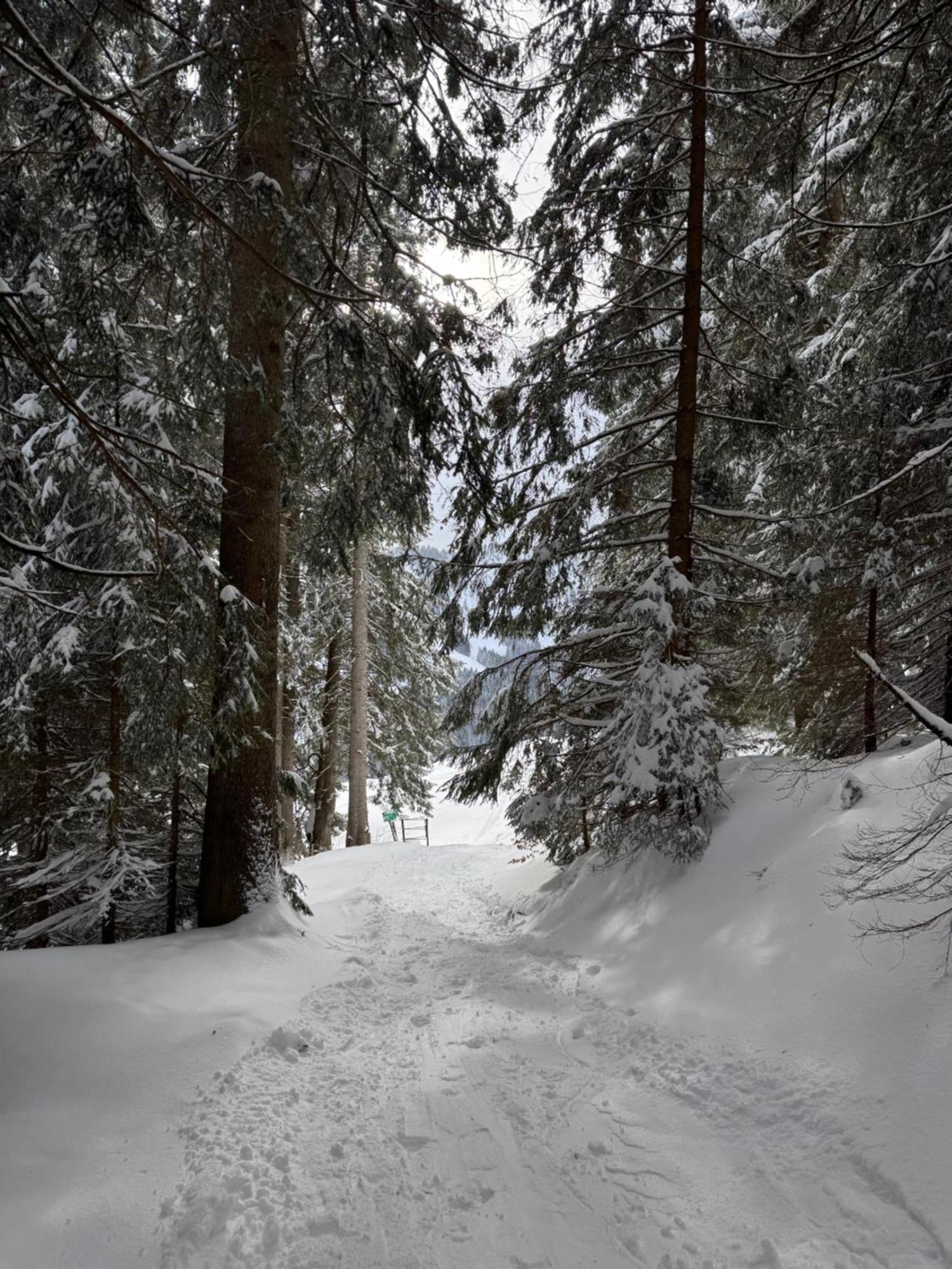 Allgaeu Bergluft Weitnau Εξωτερικό φωτογραφία