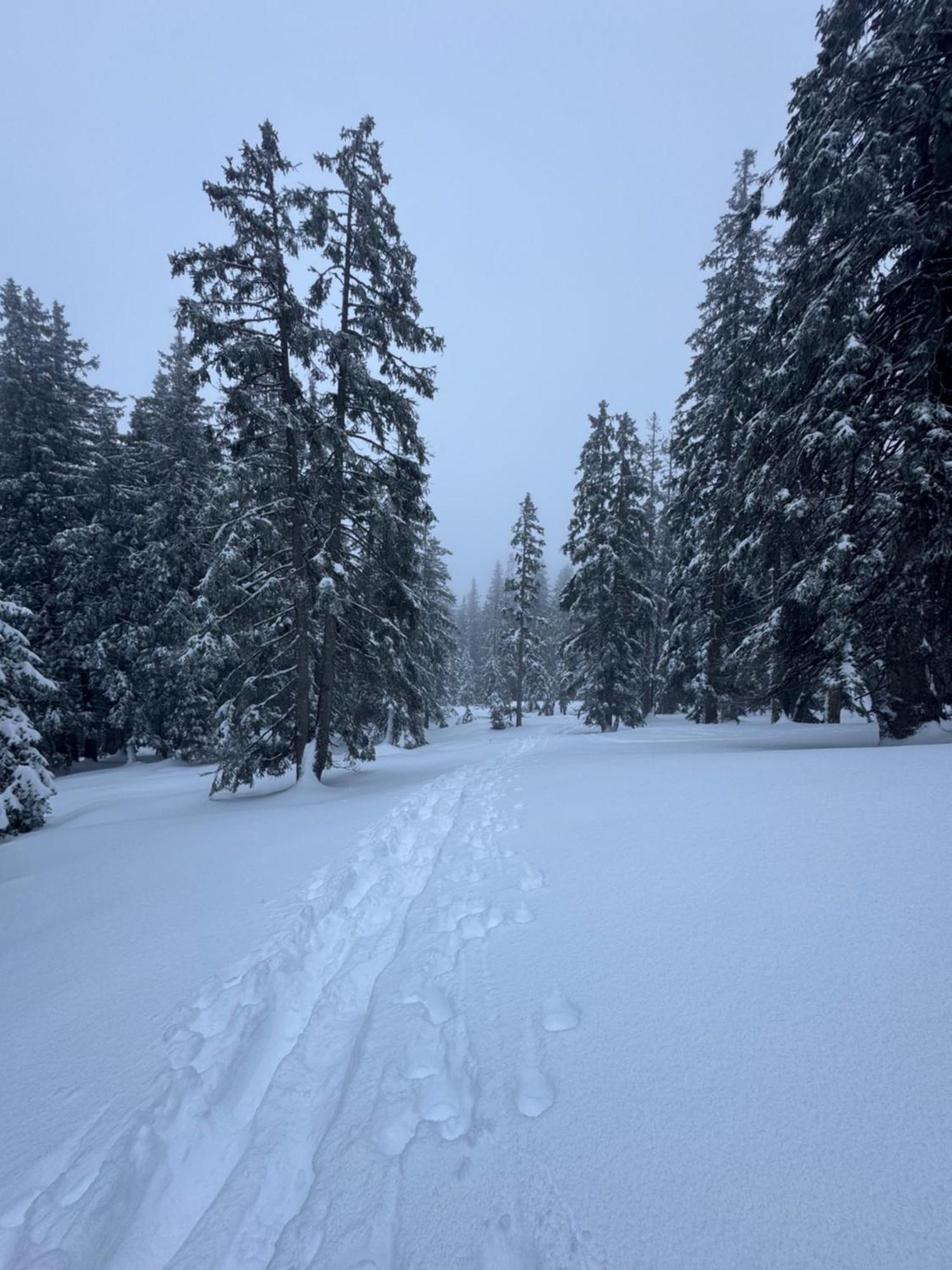 Allgaeu Bergluft Weitnau Εξωτερικό φωτογραφία